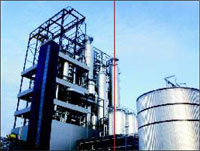 distillery-plant-process