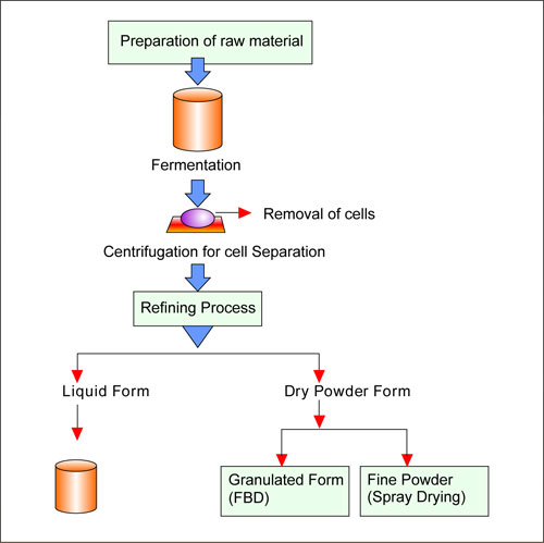 Potassium-Iodate-Plant