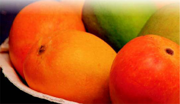 Thermal-Desorption-Unit