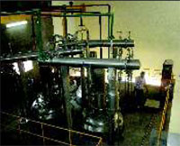 Herbal-Extraction-Plant