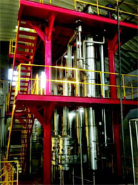 Herbal-Extraction-Plant