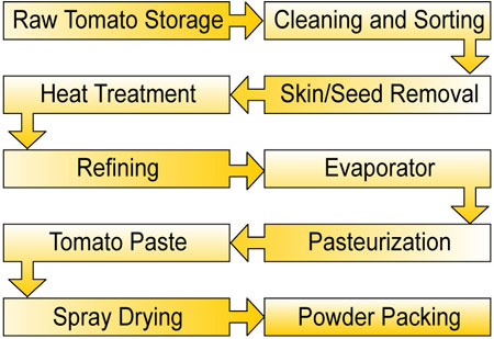 Tomato puree, sauce, ketchup and powder plant