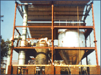 detergent-powder-plant