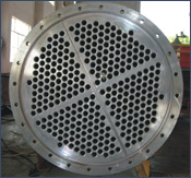 starch-glucose-plant