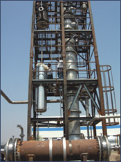 starch-glucose-plant